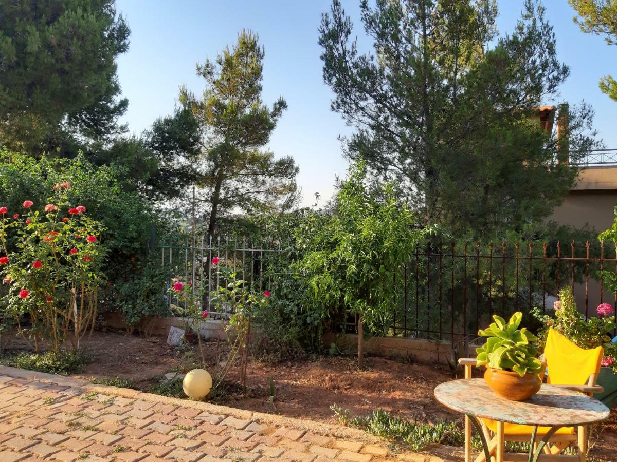 הוילה Pórto Ráfti Litsas'Cozy House מראה חיצוני תמונה